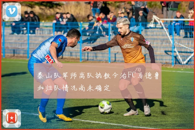 泰山队军师离队执教今治FC马德鲁加归队情况尚未确定
