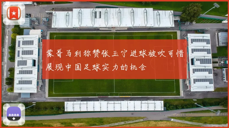 蒙哥马利称赞张玉宁进球被吹可惜展现中国足球实力的机会
