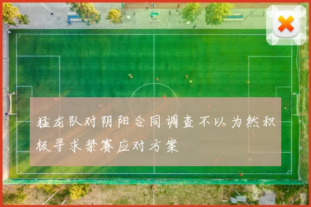 猛龙队对阴阳合同调查不以为然积极寻求禁赛应对方案